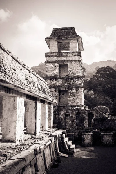Siyah beyaz görüntü Kalesi'nde Palenque Arkeolojik Sit, Chiapas, Meksika.