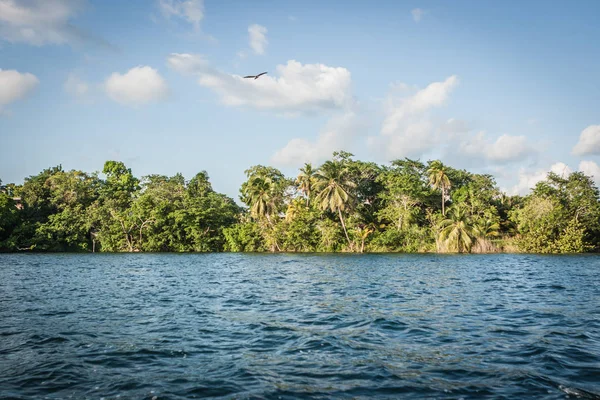 Laguna Bacalar, Chetumal, Quintana Roo, Meksika lagün üzerinde küçük bir orman bitki örtüsü ile avuç içi,.
