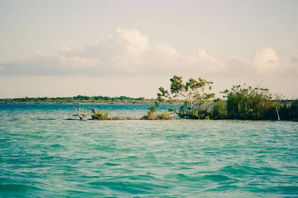 Laguna Bacalar, Chetumal, Quintana Roo, Meksika lagün üzerinde küçük bir orman bitki örtüsü ile avuç içi,.