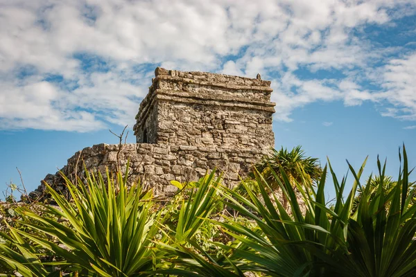 Antik Maya harabelerini Tulum arkeolojik alanında, Quintana Roo, Meksika.