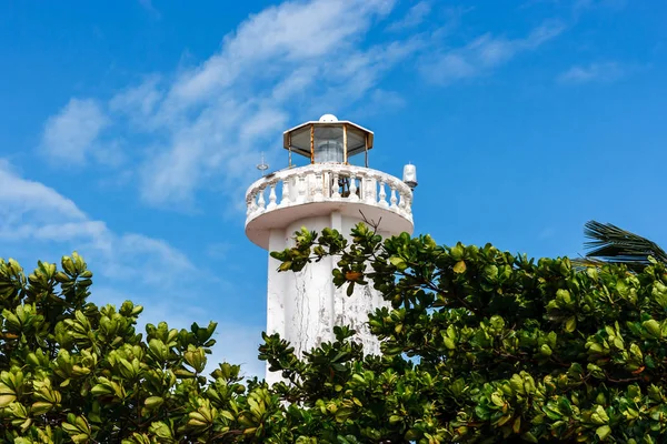 Bitkiler ve ağaçlar Puerto Morelos, Quintana Roo, Meksika yılında deniz feneri.