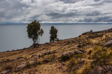 İki ağaç üzerinde bir uçurum, Taquile Adası, Titicaca gölü, Peru