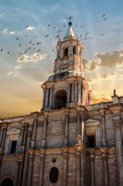 Belltower Arequipa Katedrali, Peru kuşlar ile gün batımında