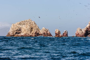Islas Ballestas, Paracas Peninsula, Peru