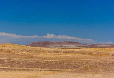 Kum tepeleri Paracas Yarımadası rezerv, Peru