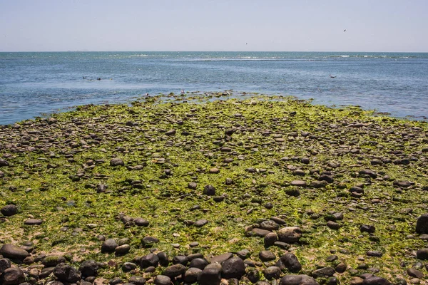 Yosun Paracas, Peru