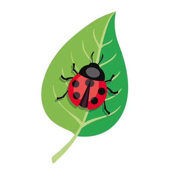 Lieveheersbeestje kruipen op een groene blad. Kleur vectorillustratie — Stockvector