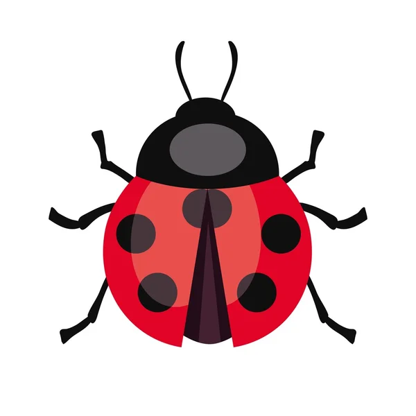 Mariehøne insekt. Farvevektorillustration – Stock-vektor