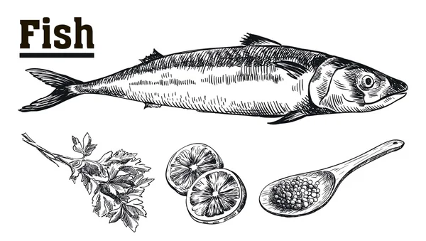 Frutos do mar. Carapau. Peixe e especiarias. Desenhos desenhados à mão . —  Vetores de Stock