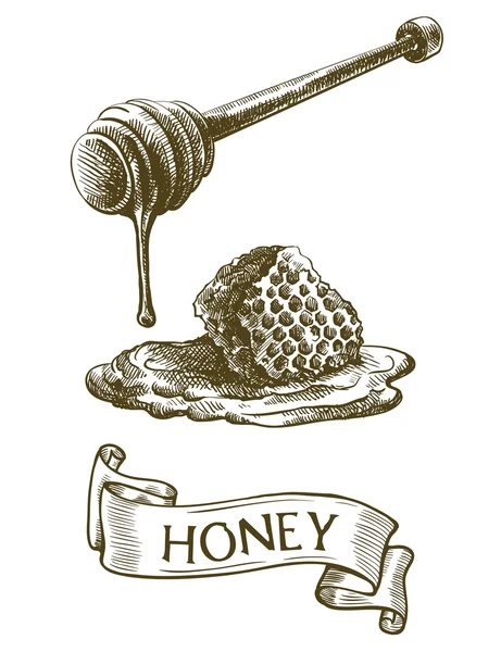 斗杆油滴下蜂蜜和蜂窝 — 图库矢量图片