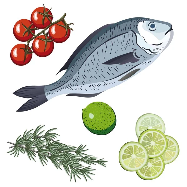 Dorado. Συστατικά και καρυκεύματα για το μαγείρεμα των ψαριών. — Διανυσματικό Αρχείο