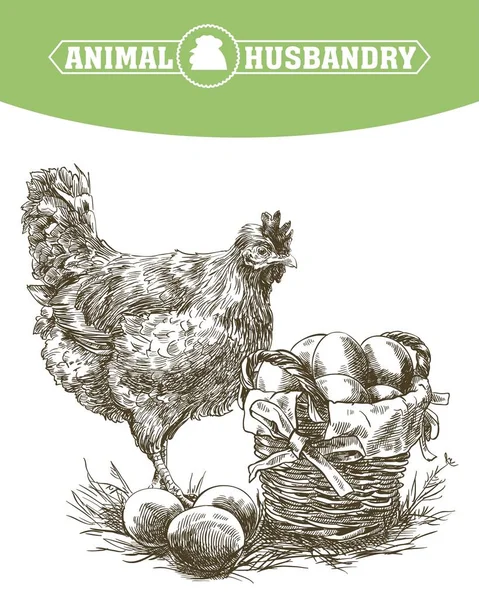 Cría de pollo. cría de animales. ganadería — Archivo Imágenes Vectoriales