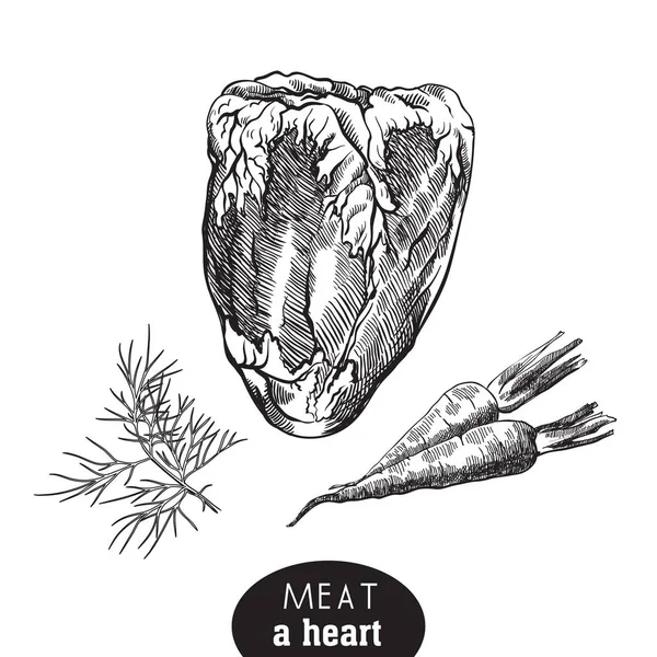 Coeur de veau et épices — Image vectorielle