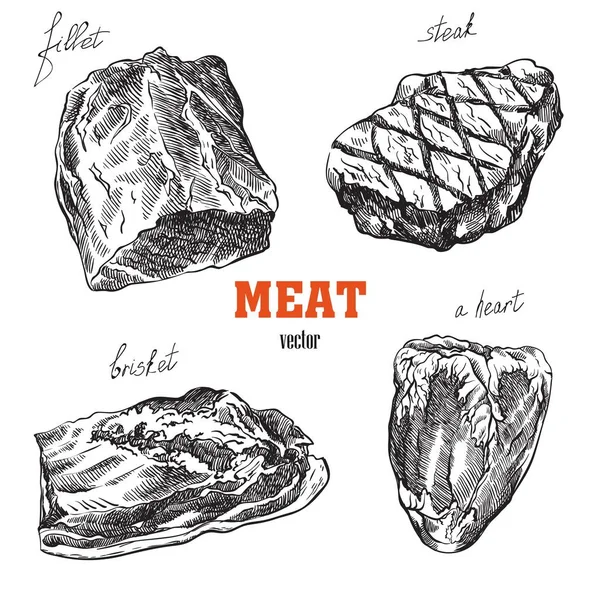 Schizzi di prodotti a base di carne — Vettoriale Stock