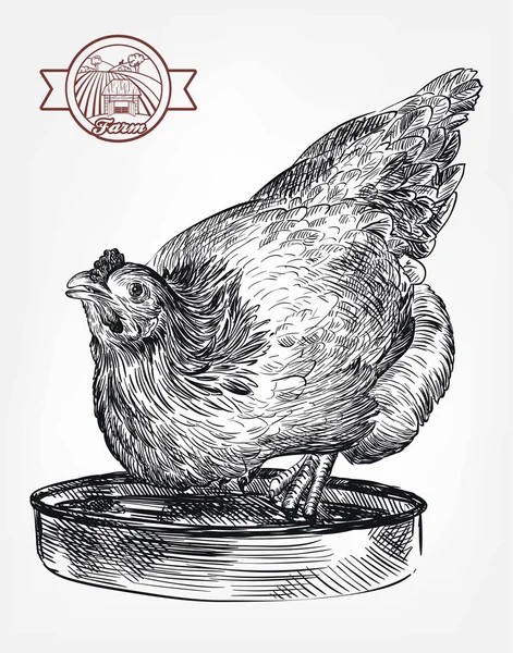 Élevage de poulet. élevage d'animaux. cheptel — Image vectorielle