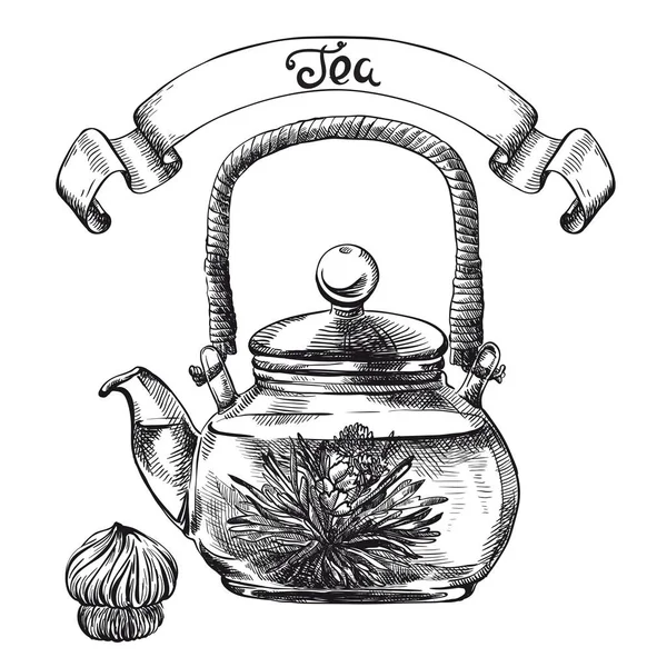 Bule de vidro com chá de ervas chinês — Vetor de Stock