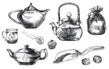 çay pu-erh. vektör çizimleri kümesi