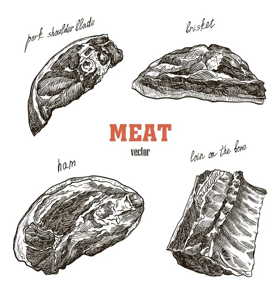 Esboços de produtos à base de carne — Vetor de Stock