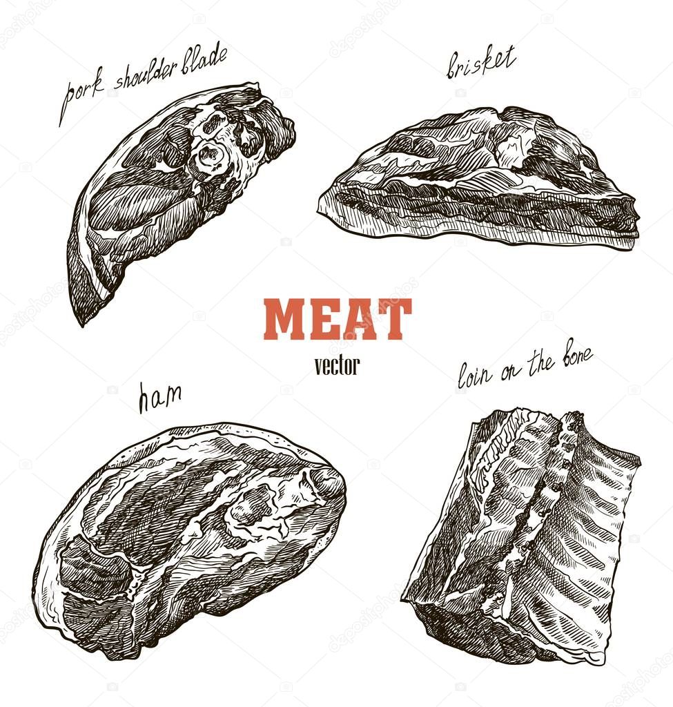 meat products sketches