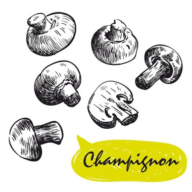 champignon skeçler. hasat