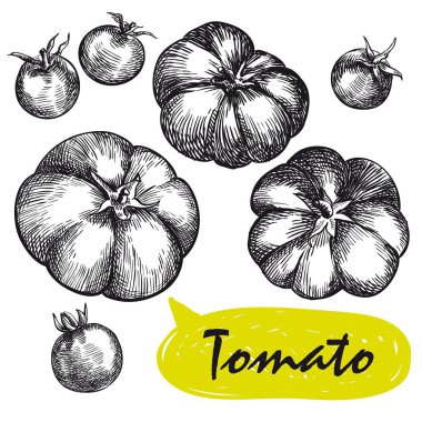 domates skeçler. hasat