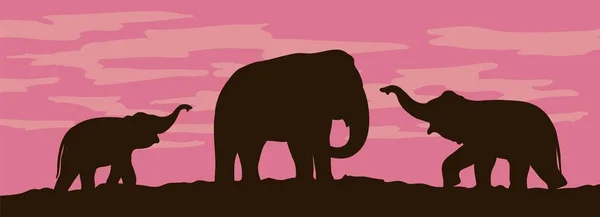 Silhouettes d'éléphants sur fond de coucher de soleil — Image vectorielle