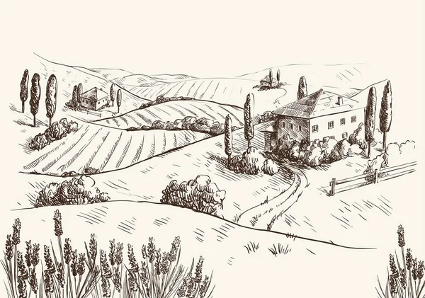 Maisons de village et terres agricoles — Image vectorielle