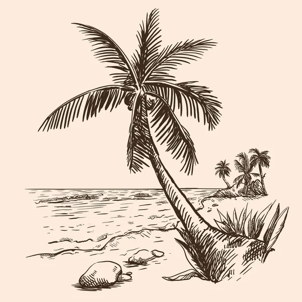 海滩和棕榈树。夏季时间 — 图库矢量图片