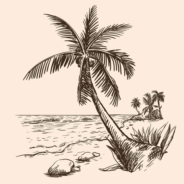 Beach en palm tree. Zomertijd — Stockvector