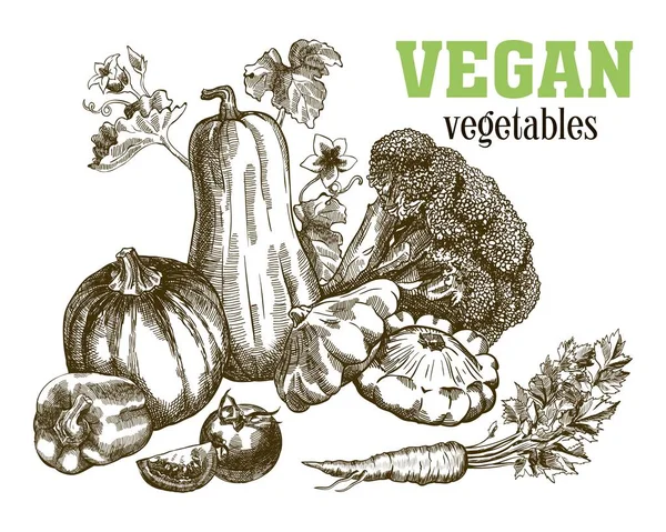 Conjunto de verduras. Cosecha — Vector de stock