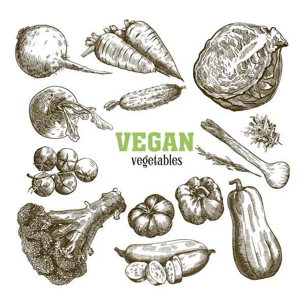 Ensemble de légumes. Récolte — Image vectorielle
