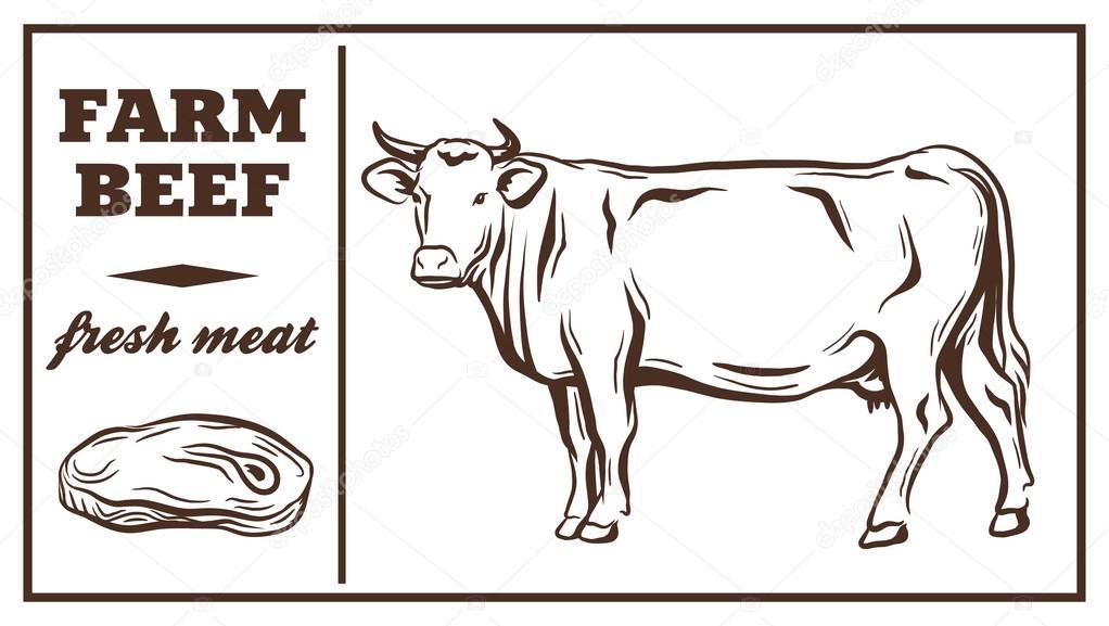 Label of meat products. Beef