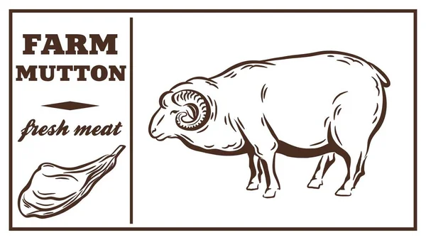Etiqueta de los productos cárnicos. Mutton. — Archivo Imágenes Vectoriales