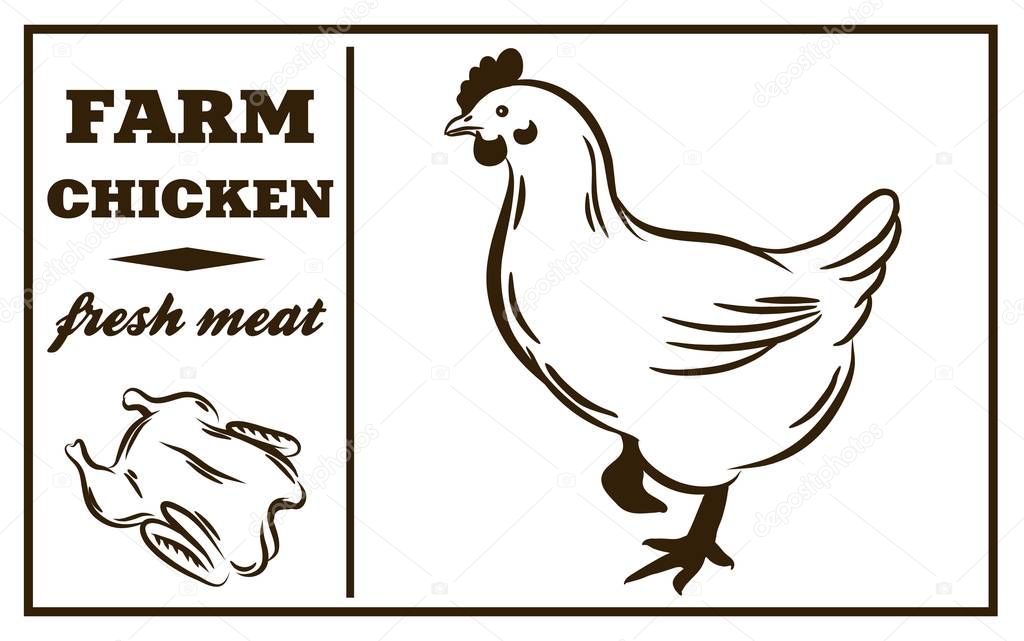 Label of meat products. Chicken. Poultry meat
