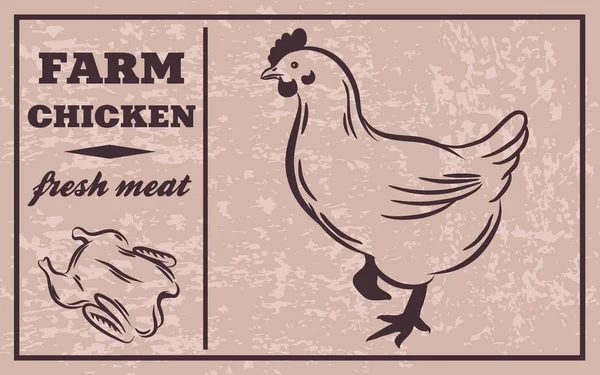 Etykiety produktów mięsnych. Kurczaka. Mięso drobiowe — Wektor stockowy