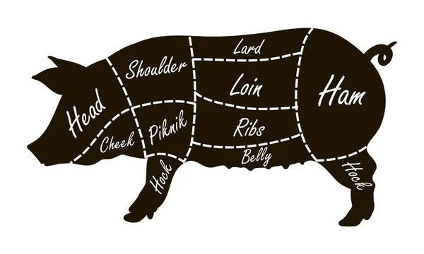 Diagrama de açougueiro de cortes de porco — Vetor de Stock