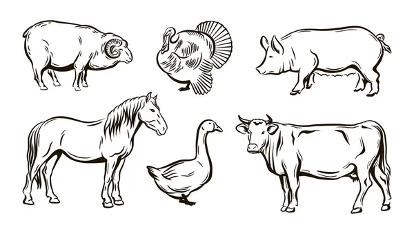Croquis d'animaux de ferme — Image vectorielle