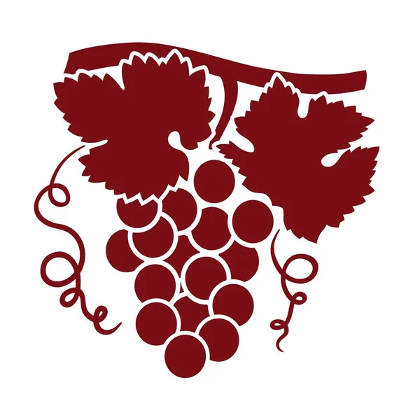 Виноград на ветке — стоковый вектор