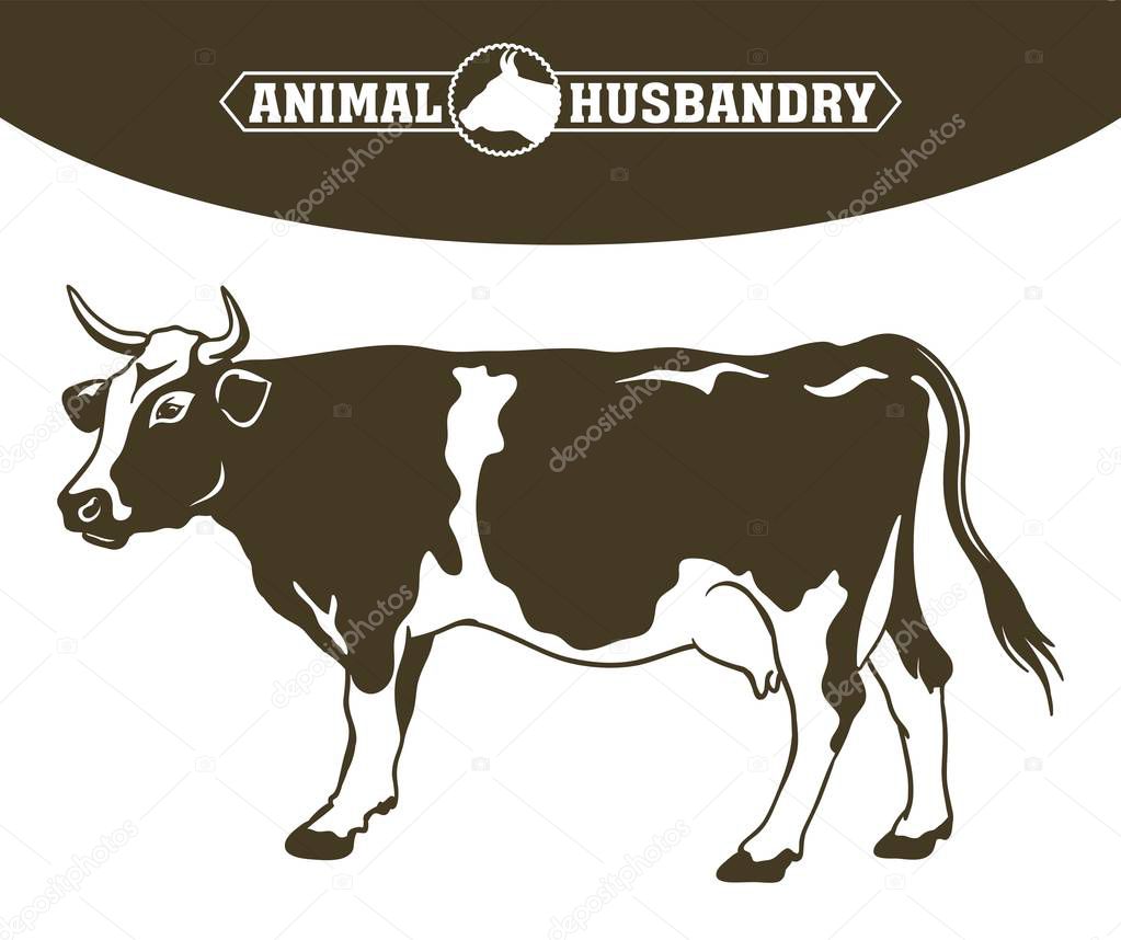 Breeding cow. animal husbandry. livestock — Stock Vector © lapuma