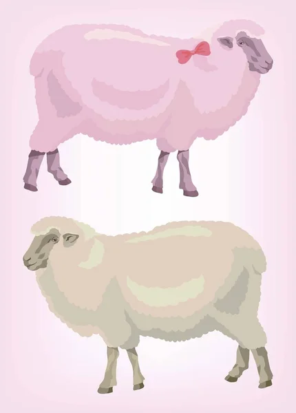 Deux moutons. rose et beige. élevage d'animaux — Image vectorielle