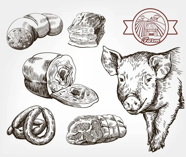 La cabeza de un cerdo. Productos cárnicos naturales. Crianza de animales. Conjunto de bocetos vectoriales contra gris — Archivo Imágenes Vectoriales