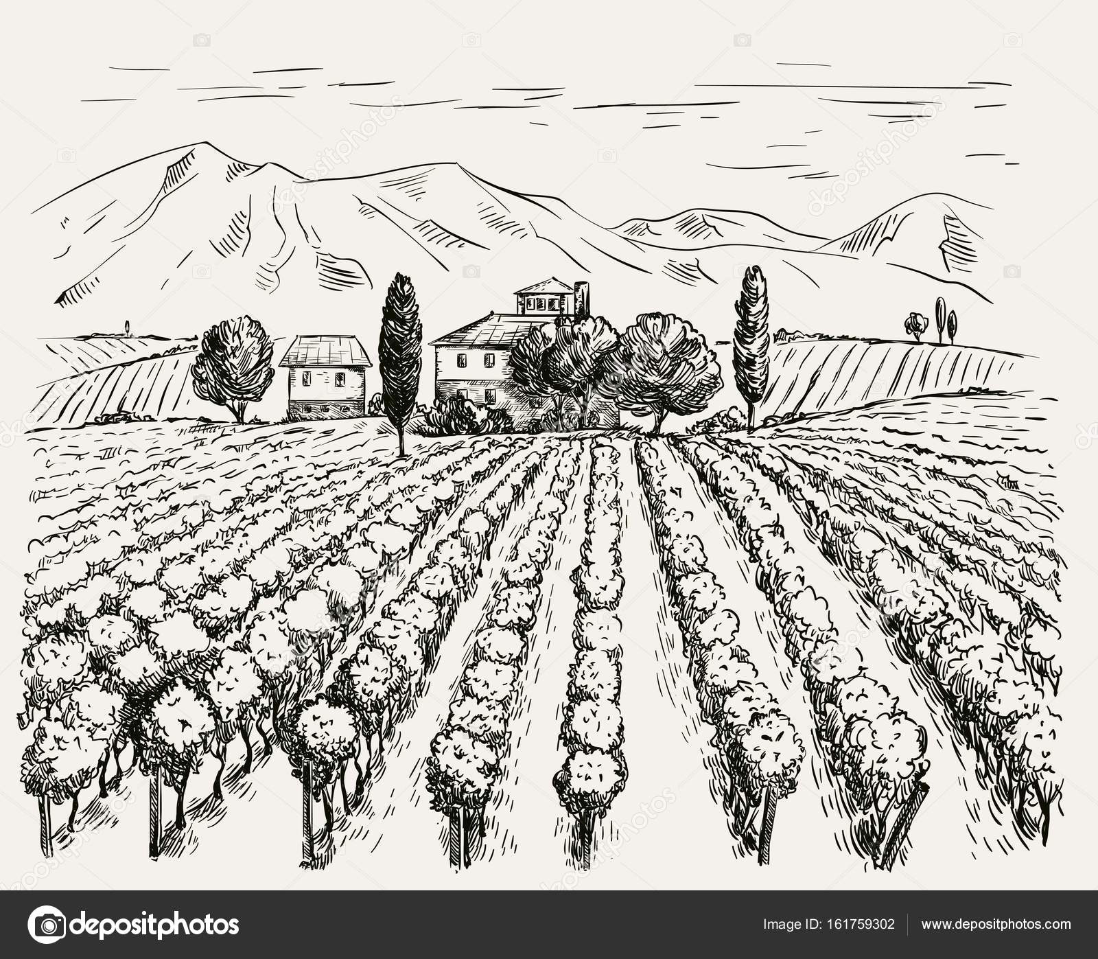Vineyard and winery. vector sketch drawn by hand ⬇ Vector Image by