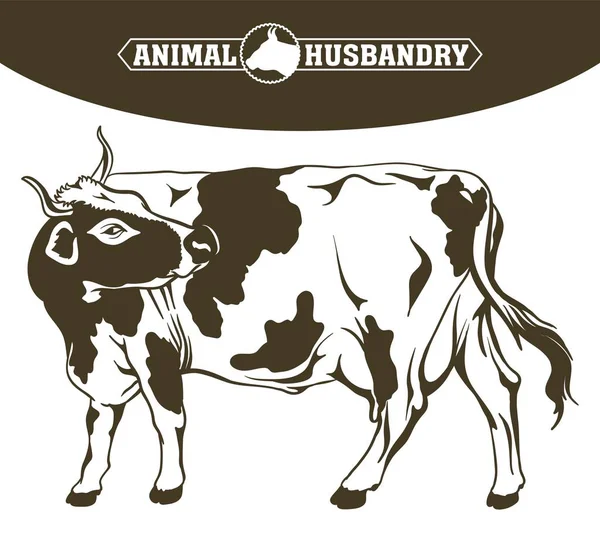 Breeding cow. animal husbandry. livestock — Stock Vector