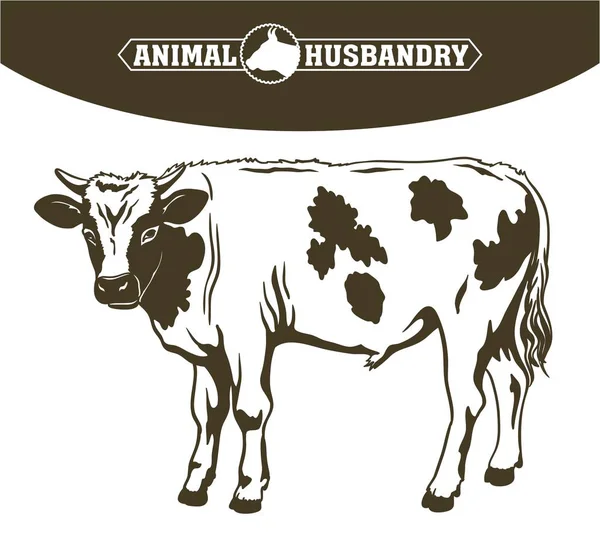 Breeding cow. animal husbandry. livestock — Stock Vector
