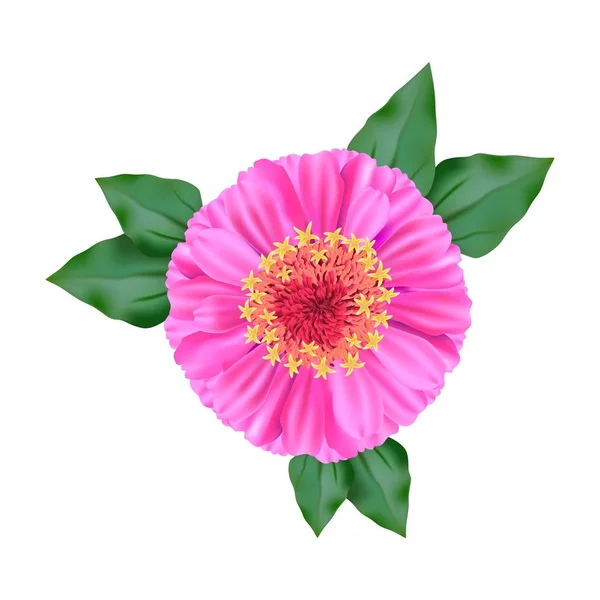 Flor. vista de cima. ilustração colorida em um branco — Vetor de Stock