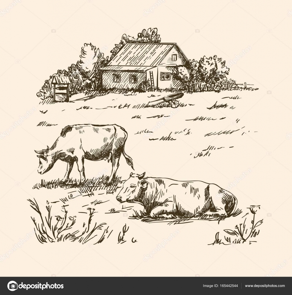 village houses and farmland — Stock Vector © lapuma #165442544 for Farmland Sketch
111ane village houses and farmland — Stock Vector © lapuma #165442544 for Farmland Sketch
111ane