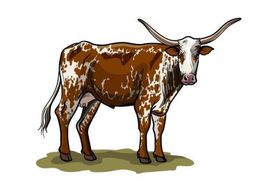 Üreyen inek. Hayvan yetiştiriciliği. Beyaz bir hayvancılık vektör illüstrasyonu