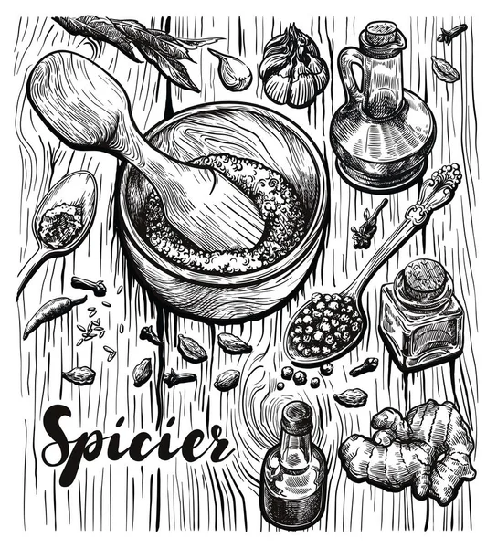 Natural seasonings, oils and spices. set of freehand sketches — Stock Vector