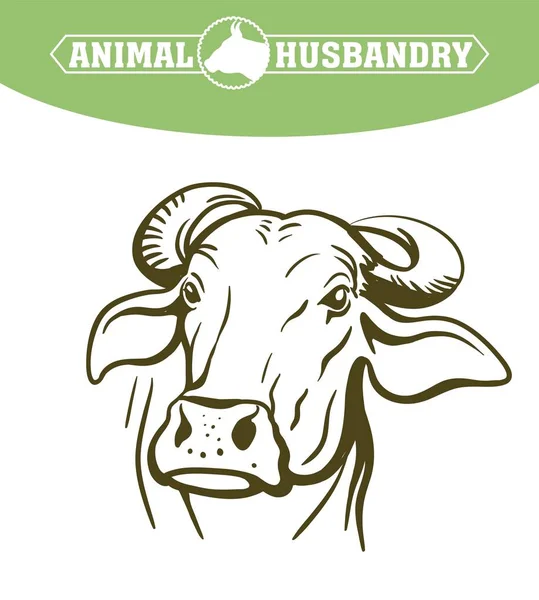 Breeding cow. animal husbandry. livestock vector illustration on a white — Stock Vector