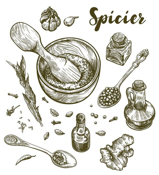 natural seasonings, oils and spices. set of freehand sketches